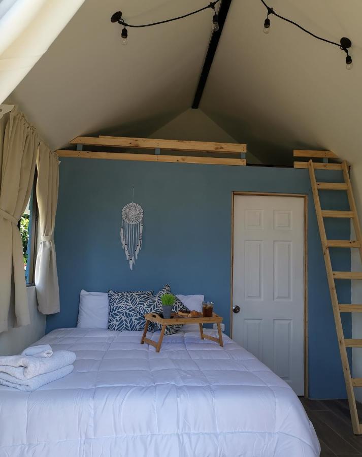 Tiny House Dreamcatcher Sarchí Dış mekan fotoğraf